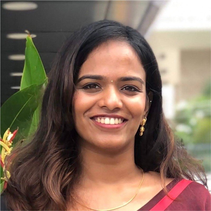 Ansa Saju